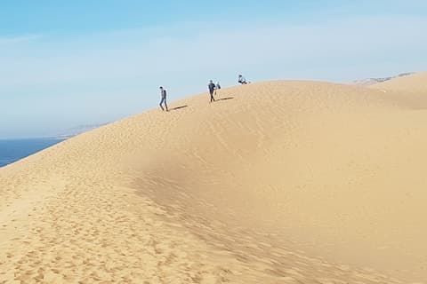 Agadir Desert Dunes & Paradise with camel ride image 2